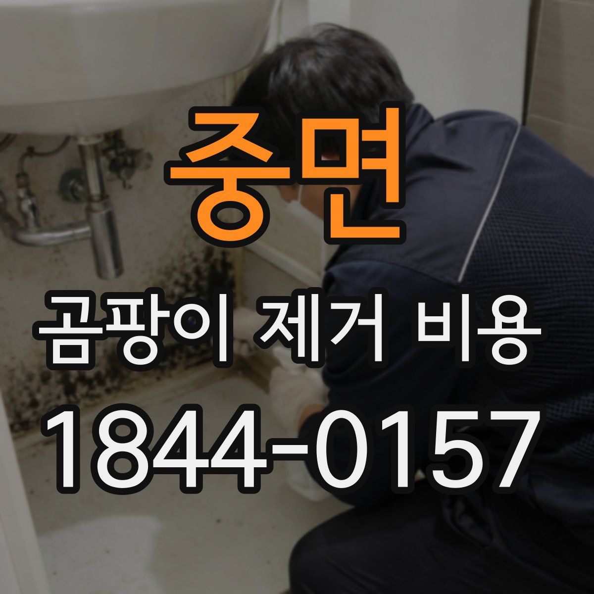 중면 곰팡이 제거 비용