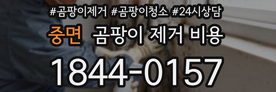 중면 곰팡이 제거 비용