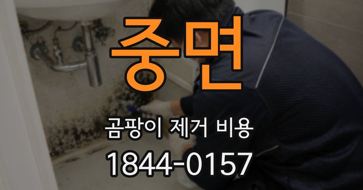 중면 곰팡이 제거 비용