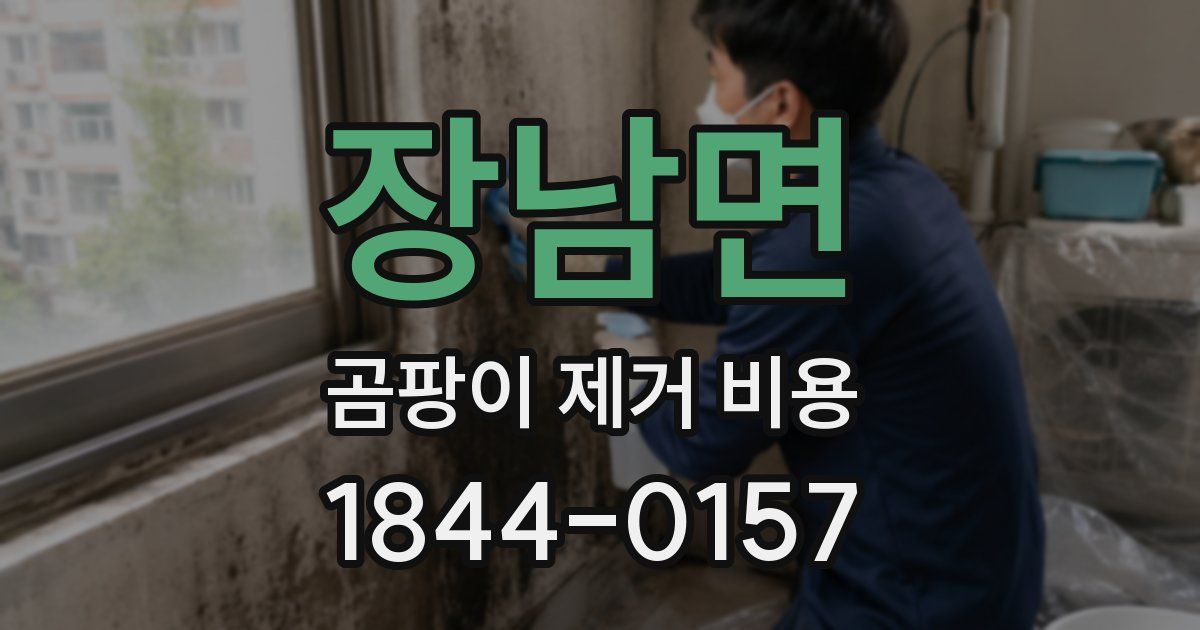 장남면 곰팡이 제거 비용