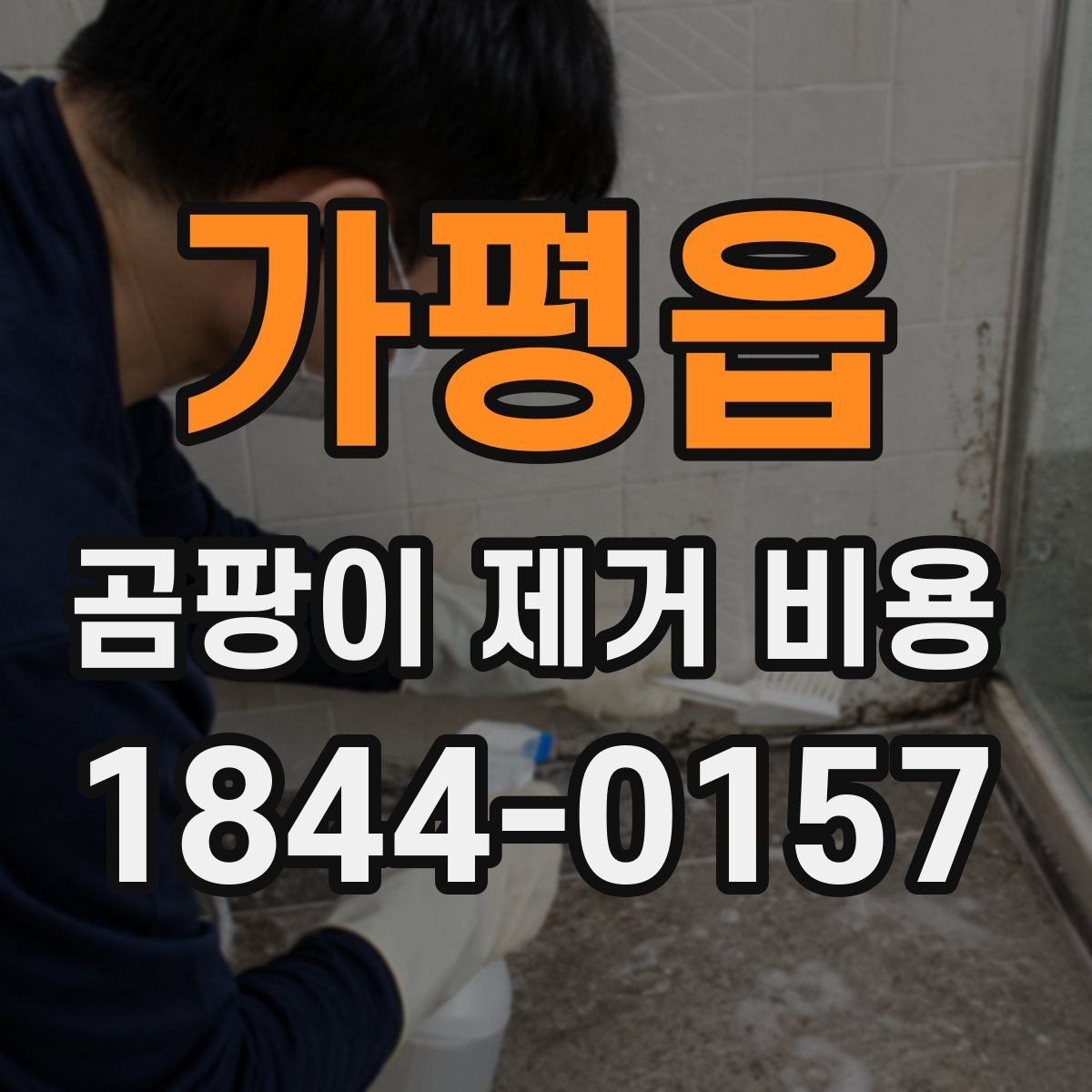가평읍 곰팡이 제거 비용 오염 범위가 넓어질수록 달라지는 기준