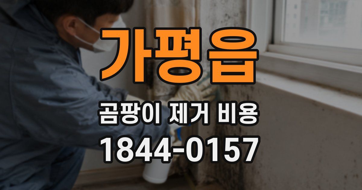 가평읍 곰팡이 제거 비용