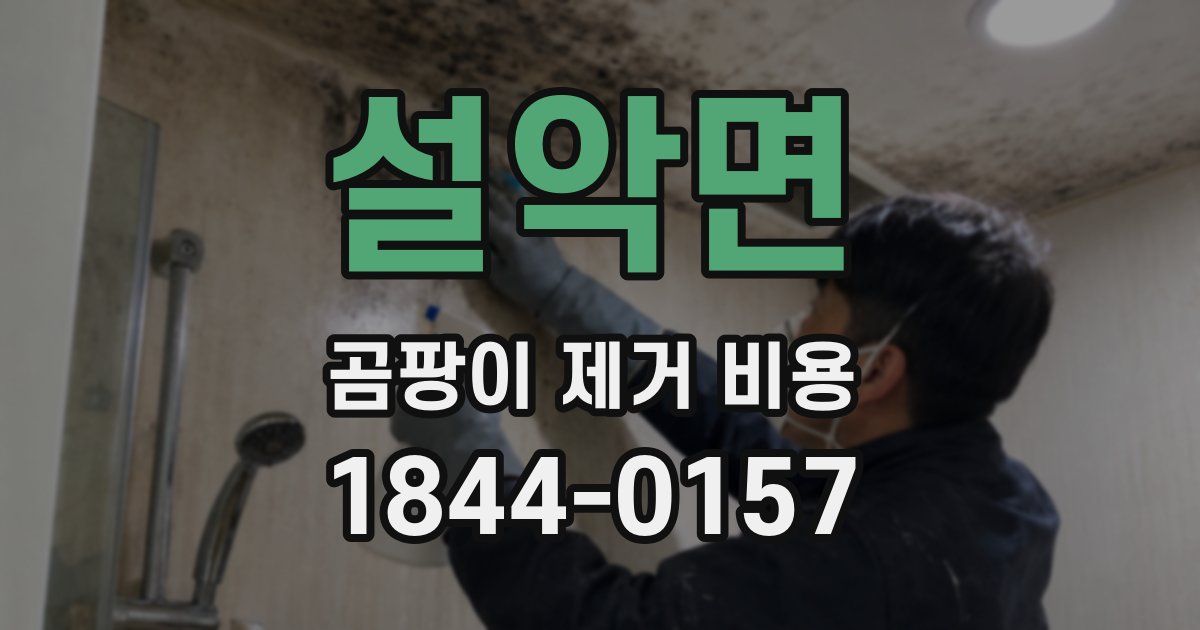 설악면 곰팡이 제거 비용