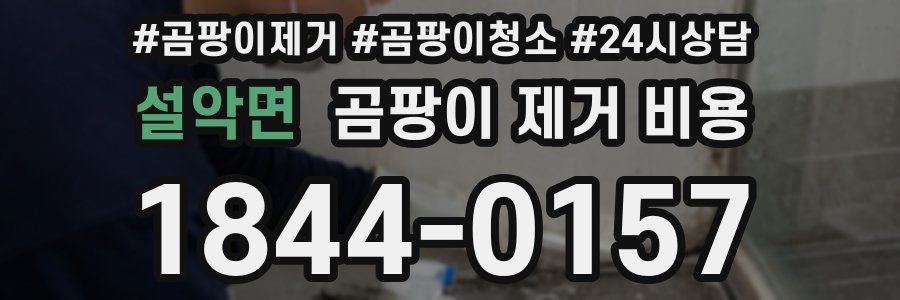 설악면 곰팡이 제거 비용