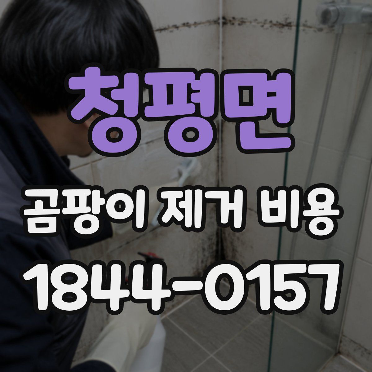 청평면 곰팡이 제거 비용