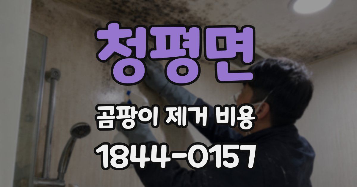 청평면 곰팡이 제거 비용