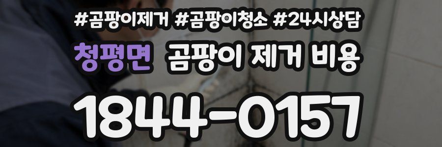 청평면 곰팡이 제거 비용