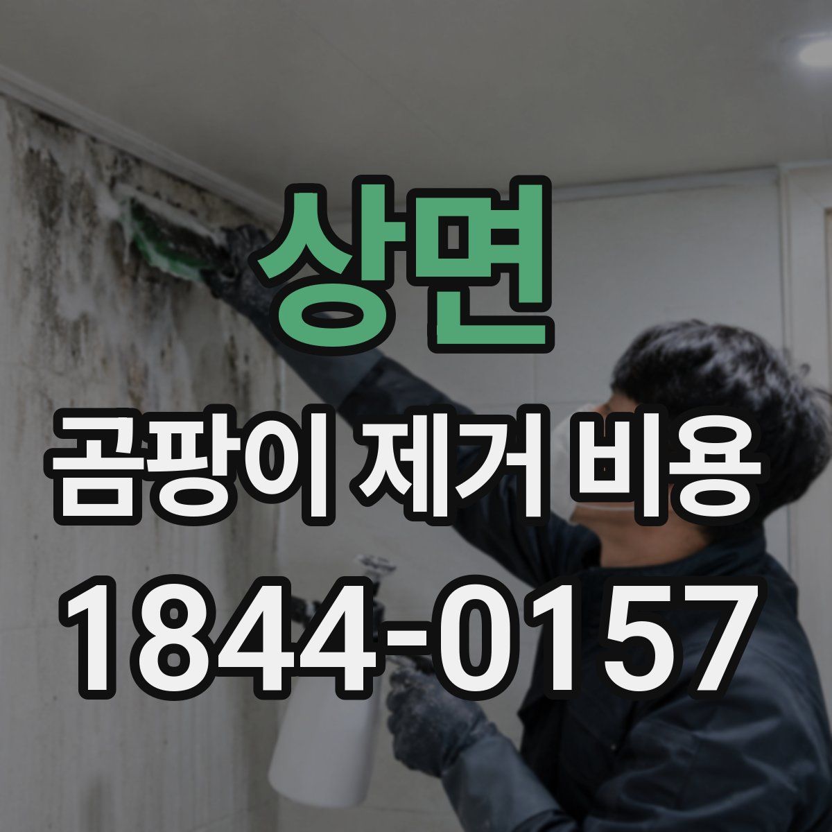 상면 곰팡이 제거 비용