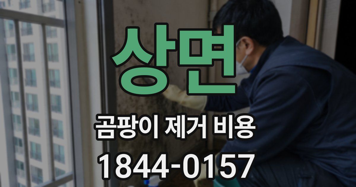 상면 곰팡이 제거 비용