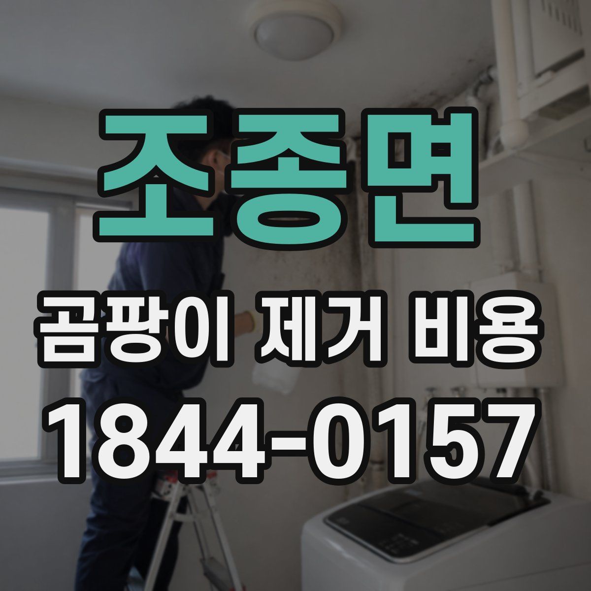 조종면 곰팡이 제거 비용