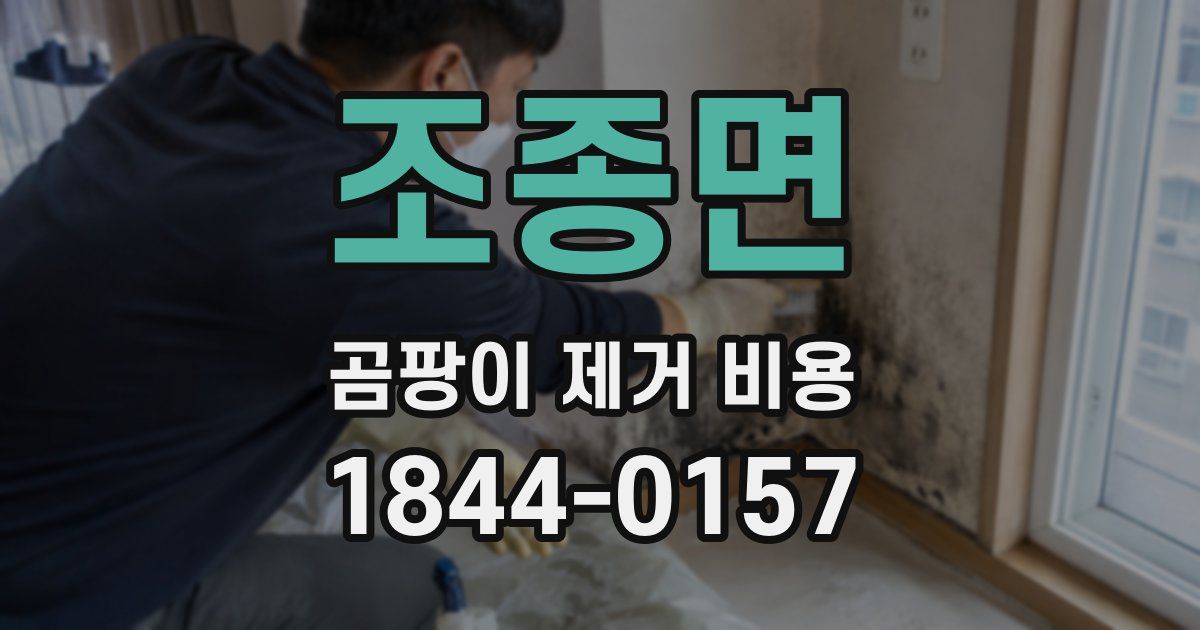 조종면 곰팡이 제거 비용