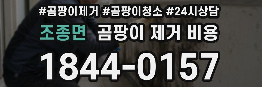 조종면 곰팡이 제거 비용