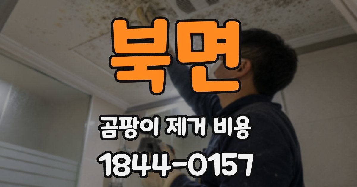북면 곰팡이 제거 비용