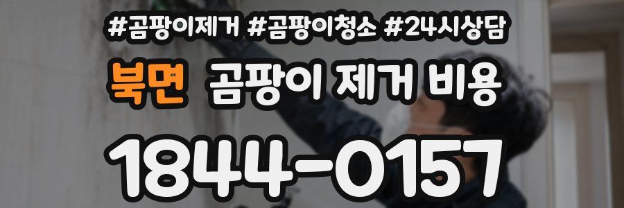 북면 곰팡이 제거 비용