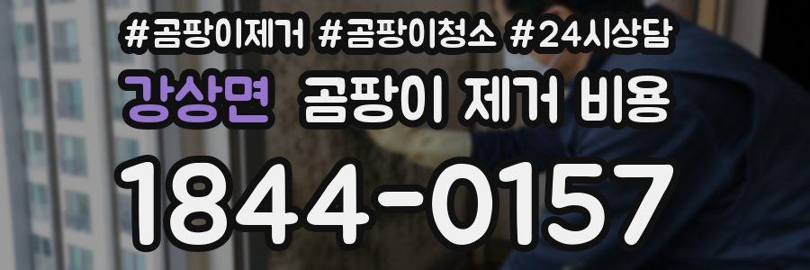 강상면 곰팡이 제거 비용