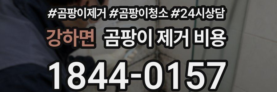 강하면 곰팡이 제거 비용