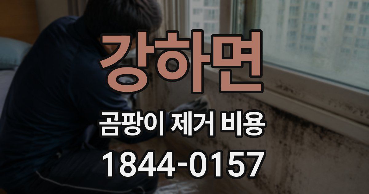 강하면 곰팡이 제거 비용