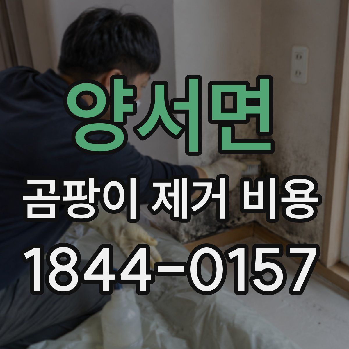 양서면 곰팡이 제거 비용