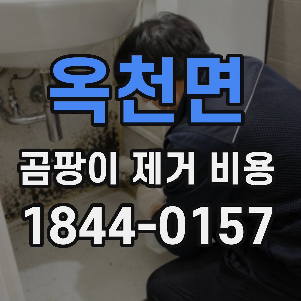 옥천면 곰팡이 제거 비용