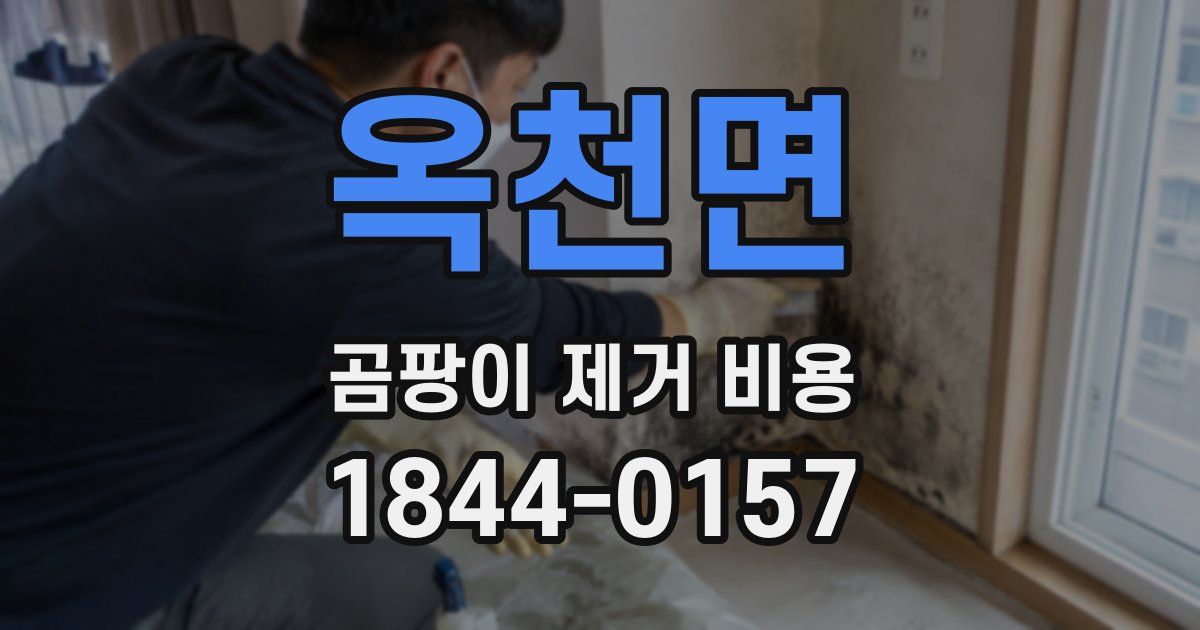 옥천면 곰팡이 제거 비용