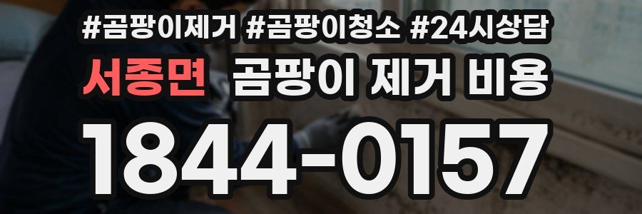 서종면 곰팡이 제거 비용