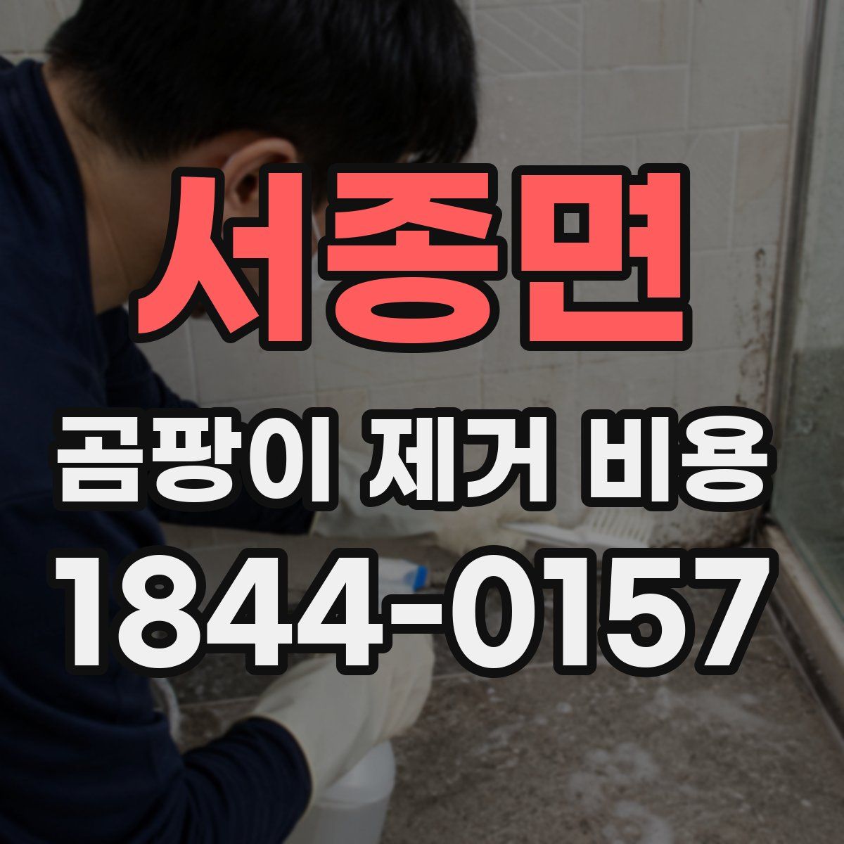 서종면 곰팡이 제거 비용