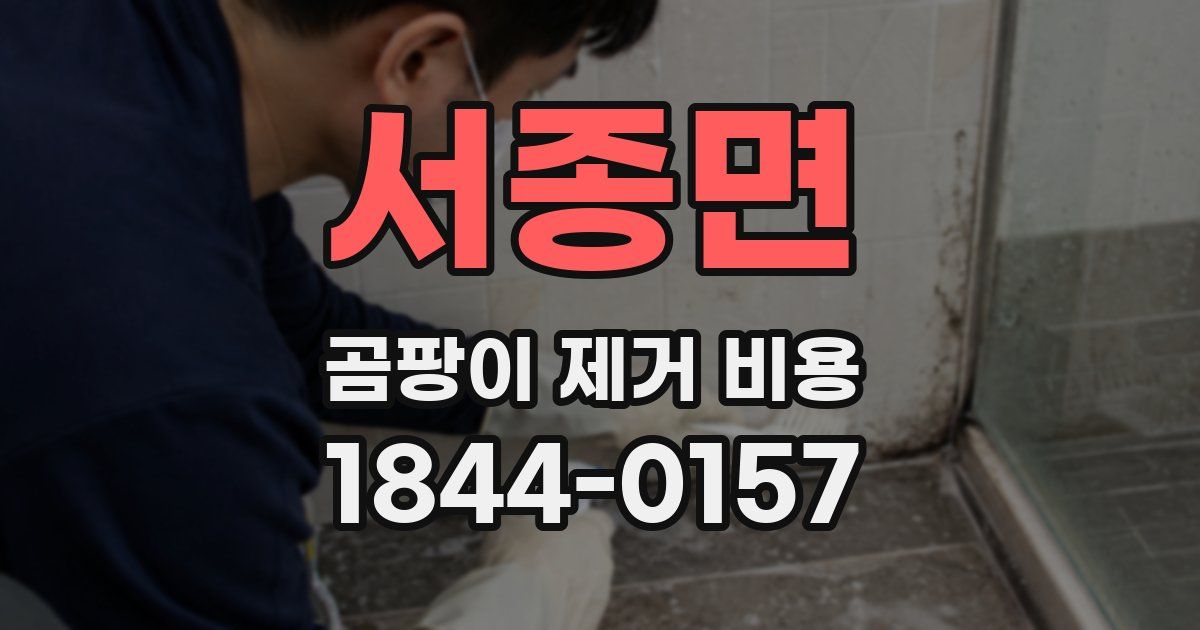 서종면 곰팡이 제거 비용
