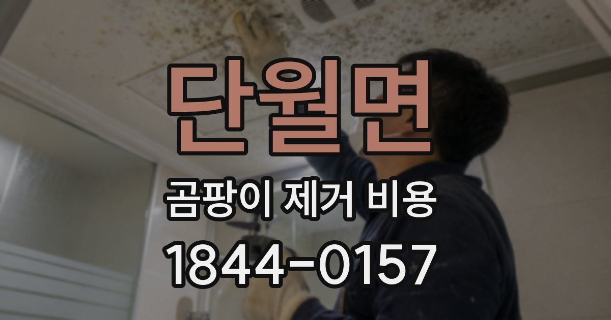 단월면 곰팡이 제거 비용