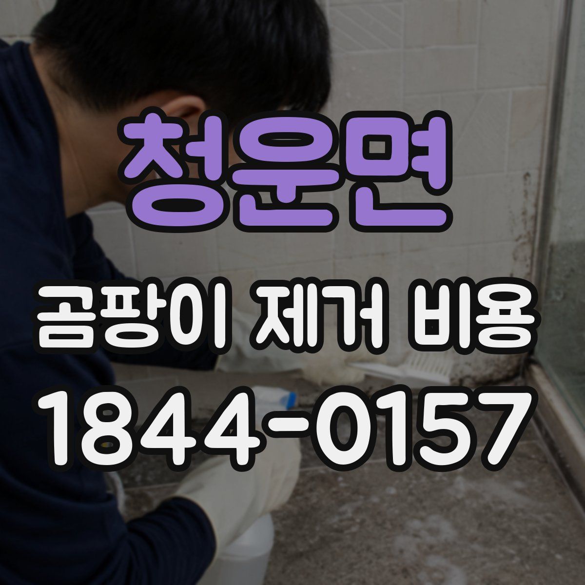 청운면 곰팡이 제거 비용