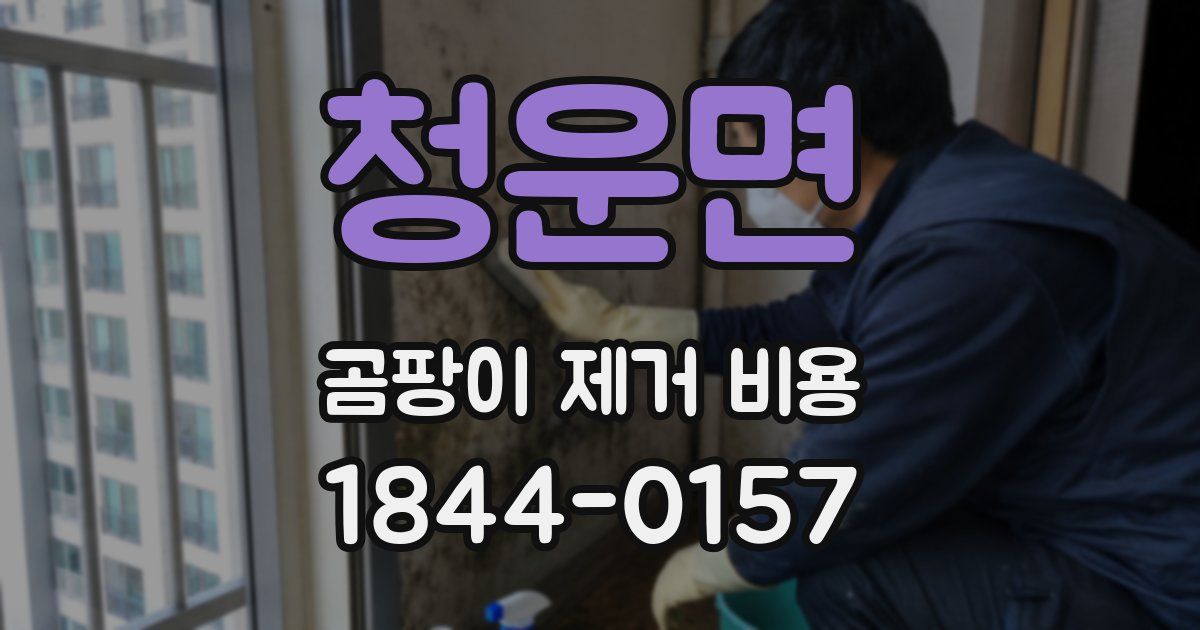 청운면 곰팡이 제거 비용