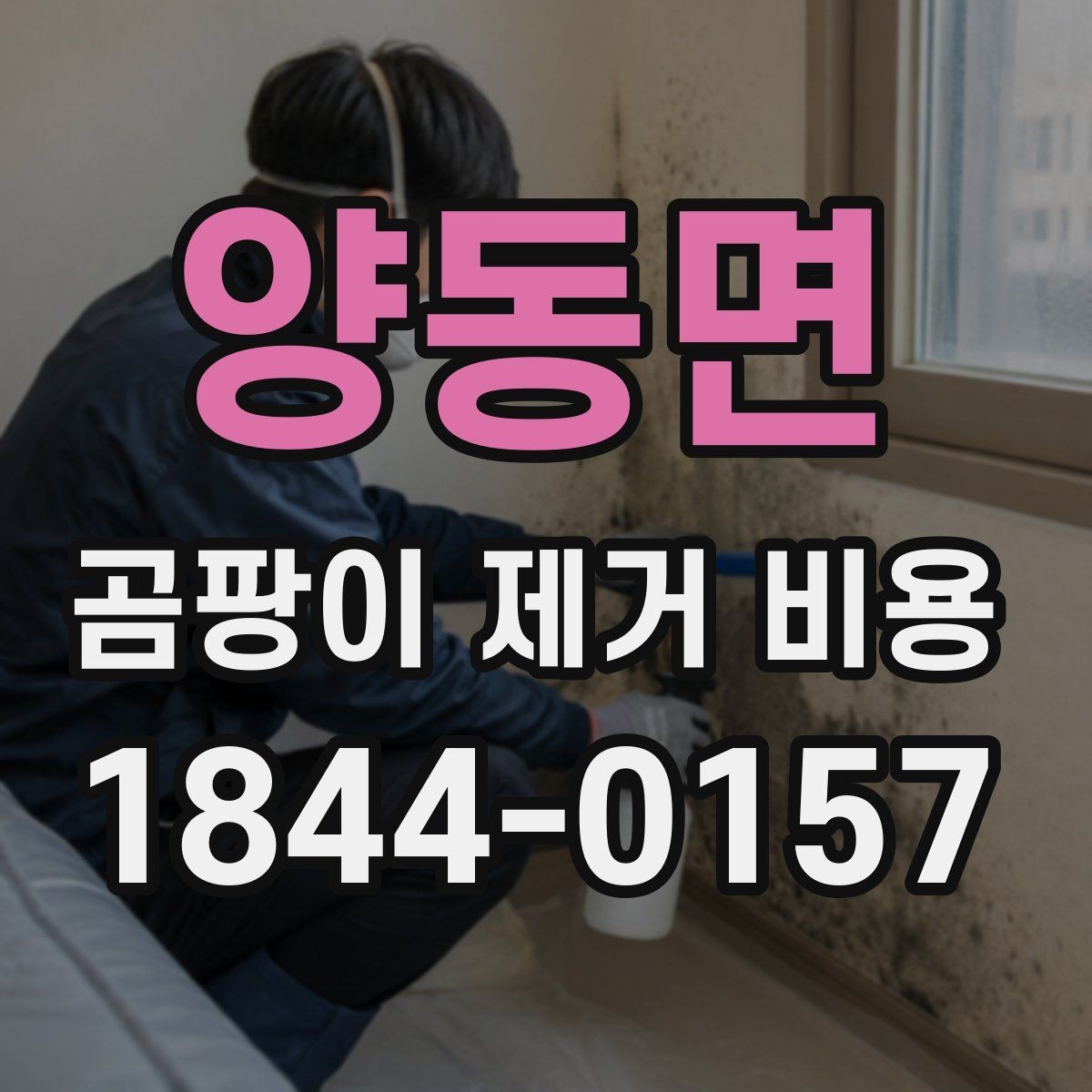 양동면 곰팡이 제거 비용 전체 보수가 필요한 집의 공통 조건