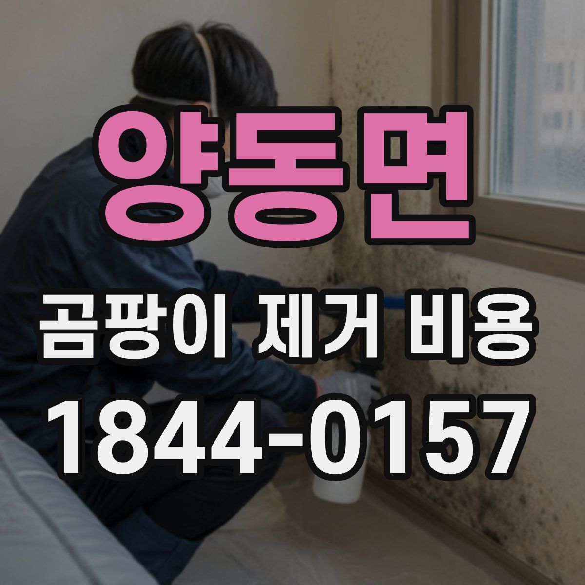 양동면 곰팡이 제거 비용