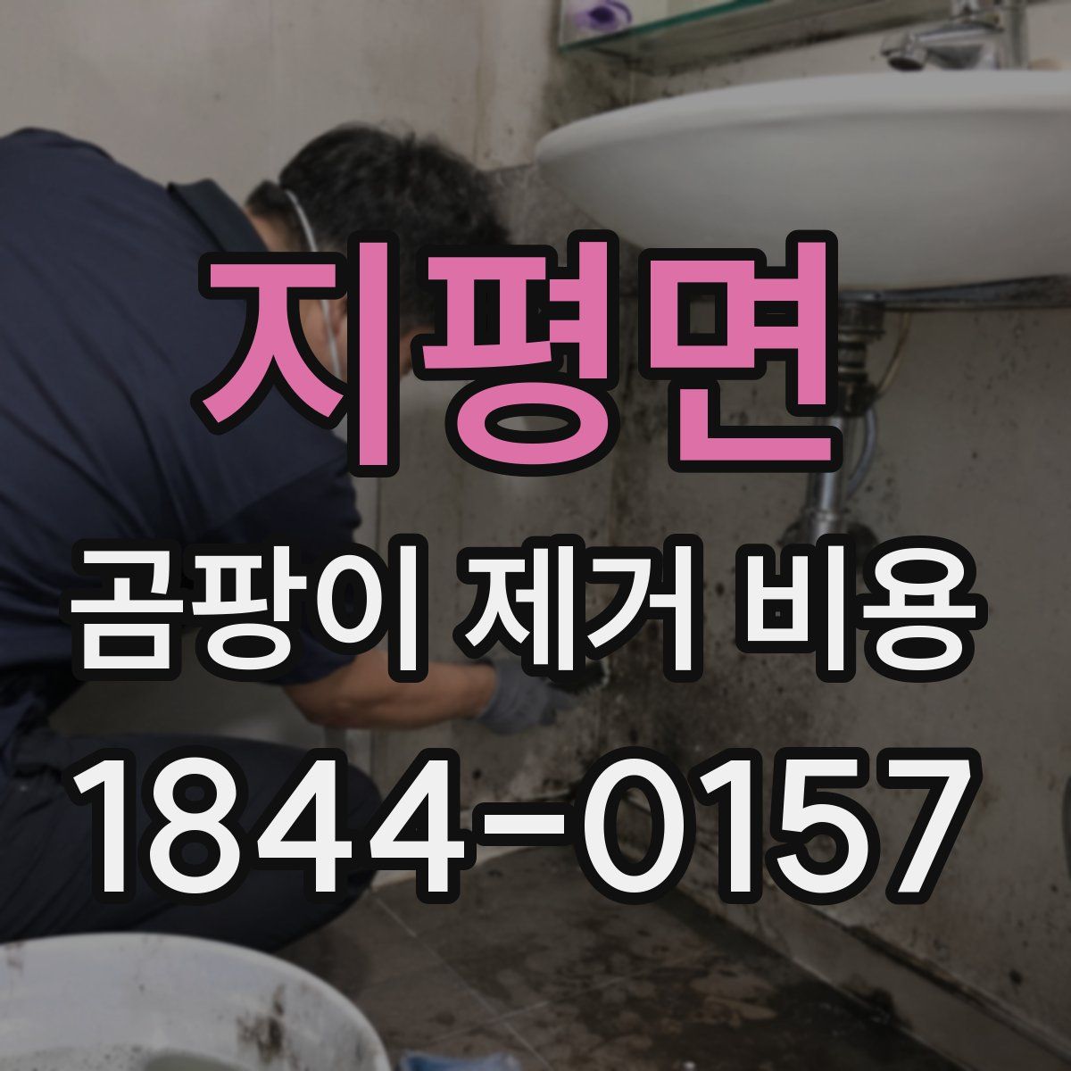 지평면 곰팡이 제거 비용