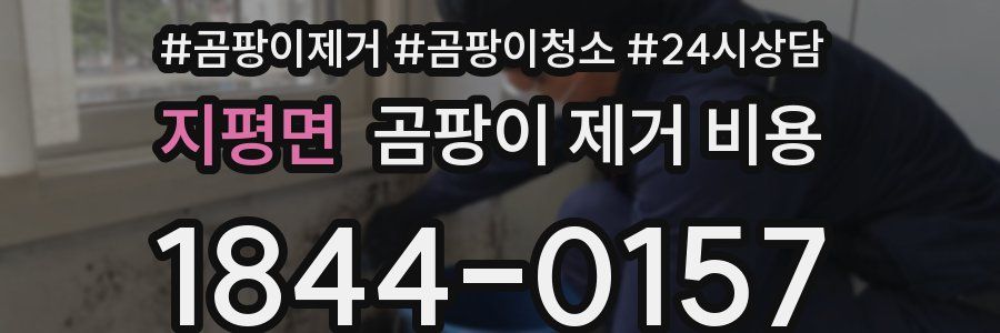 지평면 곰팡이 제거 비용