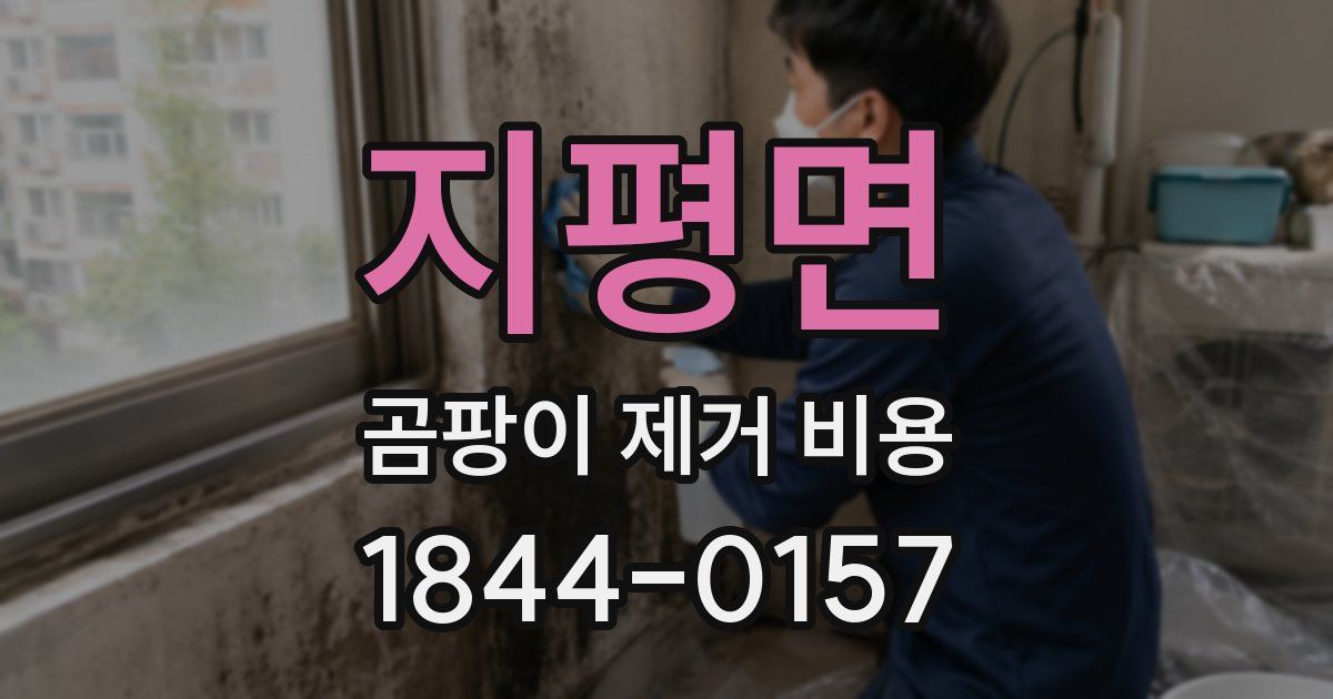 지평면 곰팡이 제거 비용