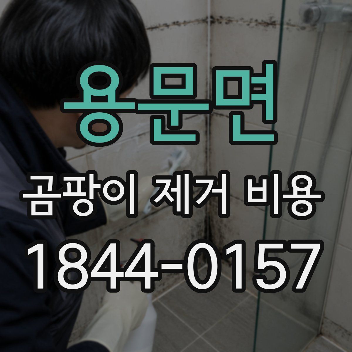 용문면 곰팡이 제거 비용