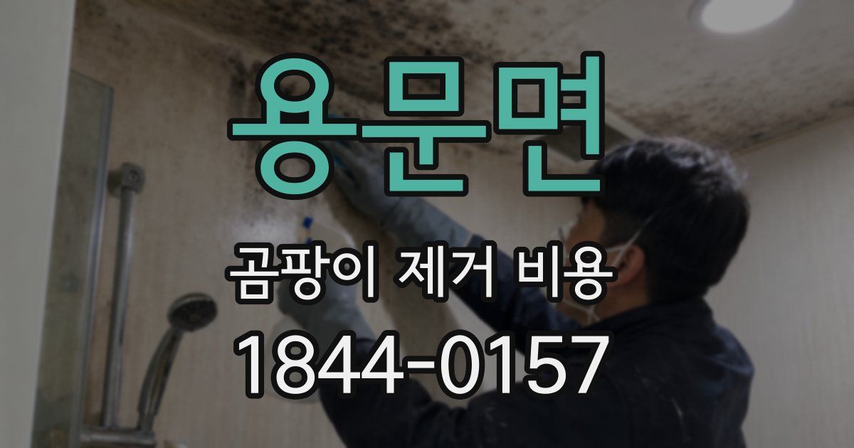 용문면 곰팡이 제거 비용