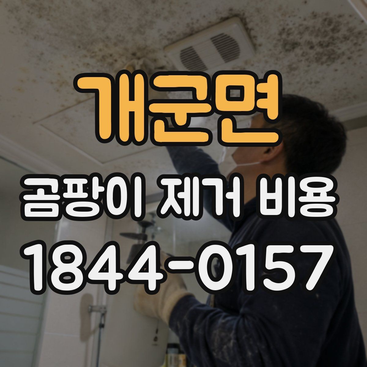 개군면 곰팡이 제거 비용 해체 후 원상복구가 들어가는 기준