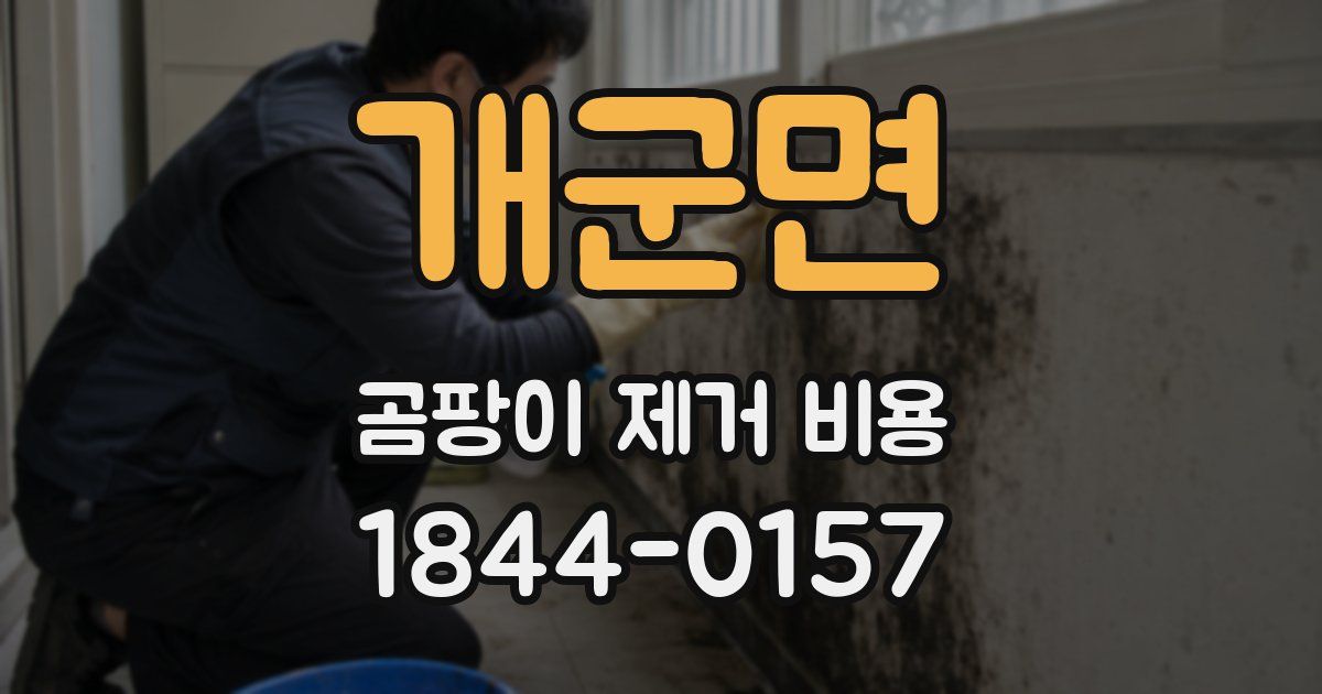 개군면 곰팡이 제거 비용
