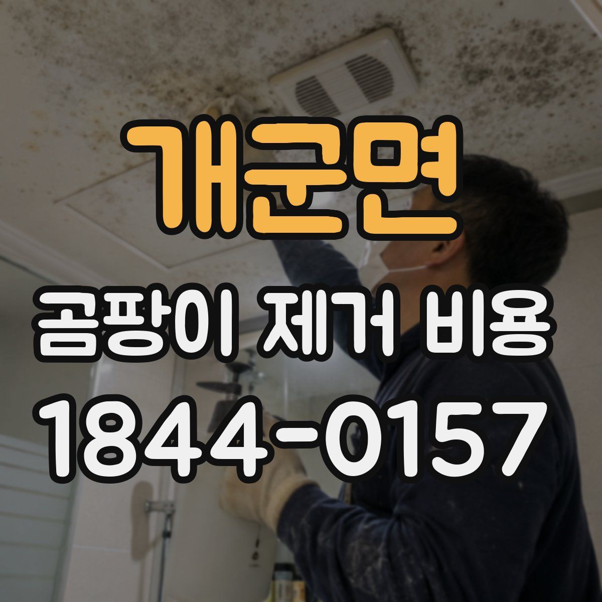 개군면 곰팡이 제거 비용