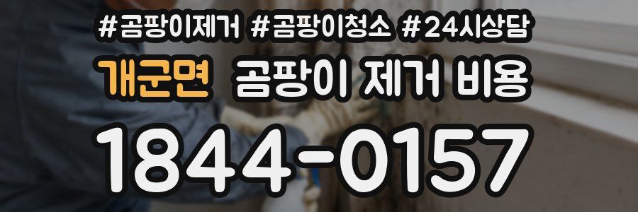 개군면 곰팡이 제거 비용