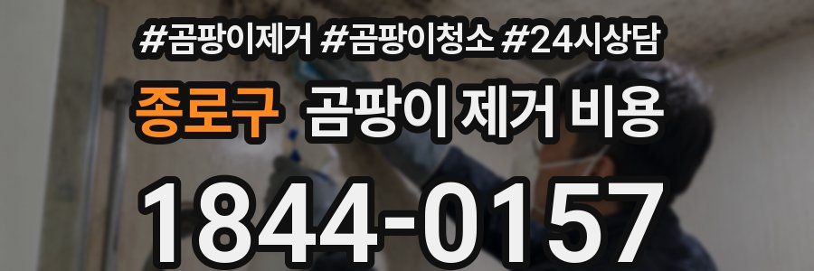 종로구 곰팡이 제거 비용