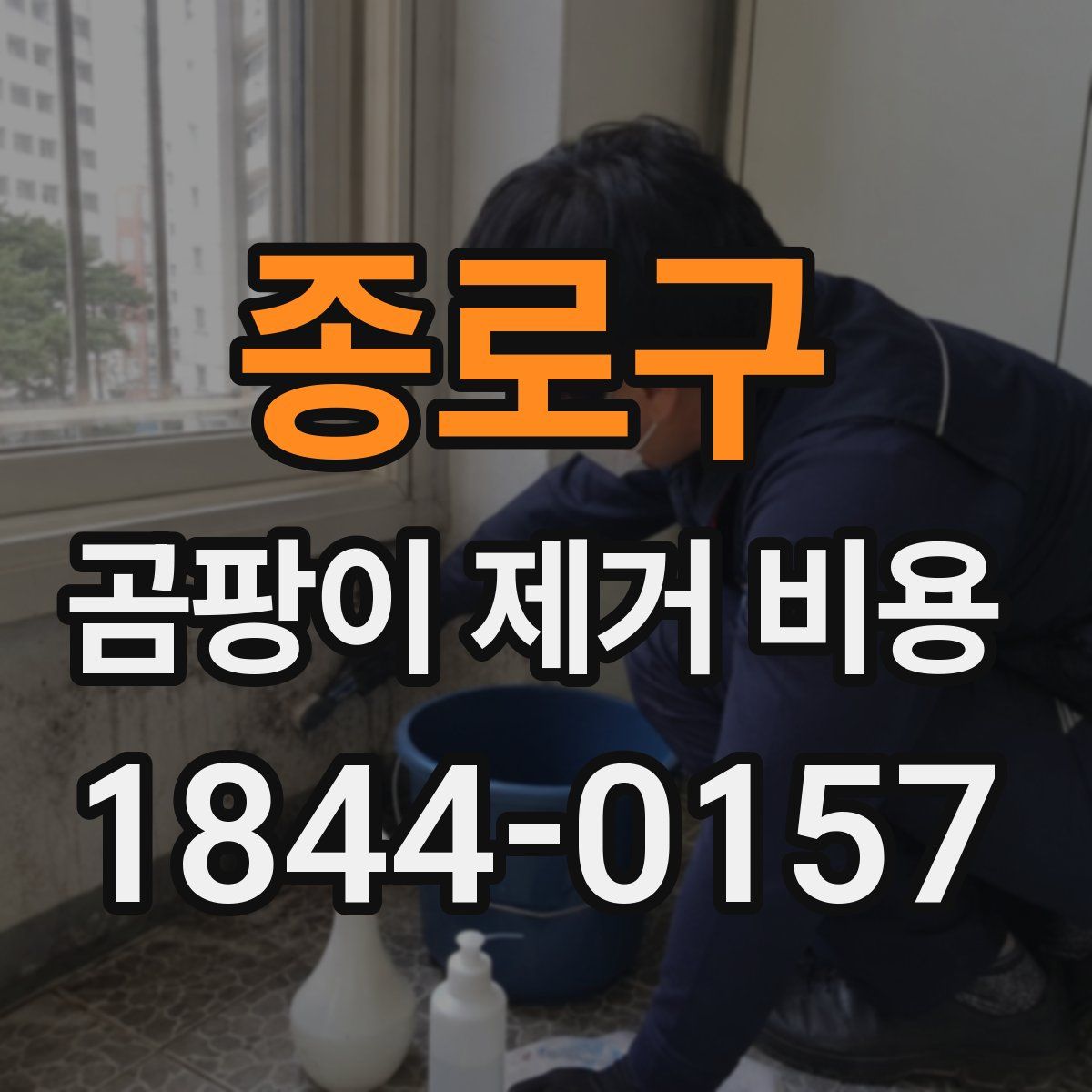 종로구 곰팡이 제거 비용