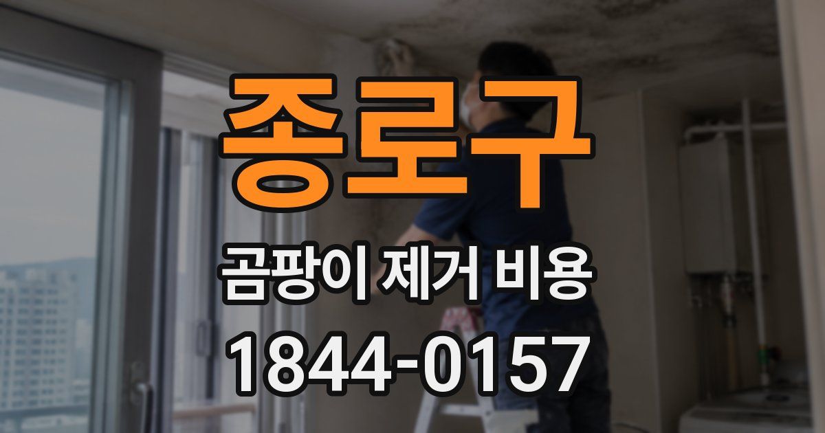 종로구 곰팡이 제거 비용