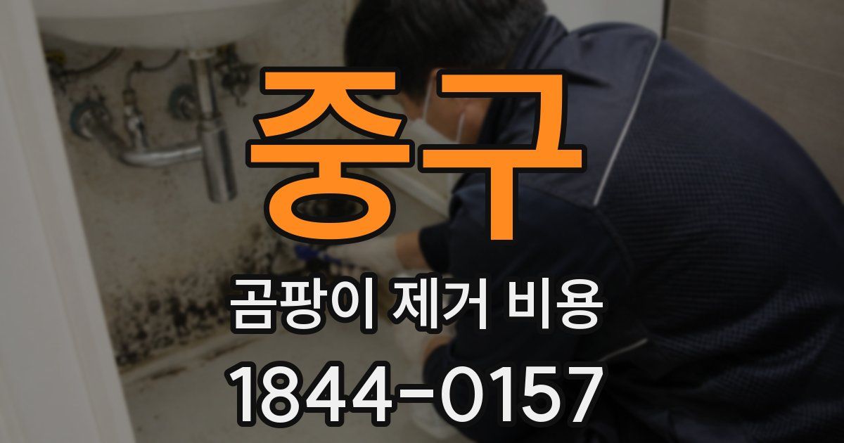 중구 곰팡이 제거 비용
