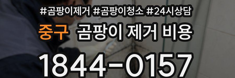 중구 곰팡이 제거 비용