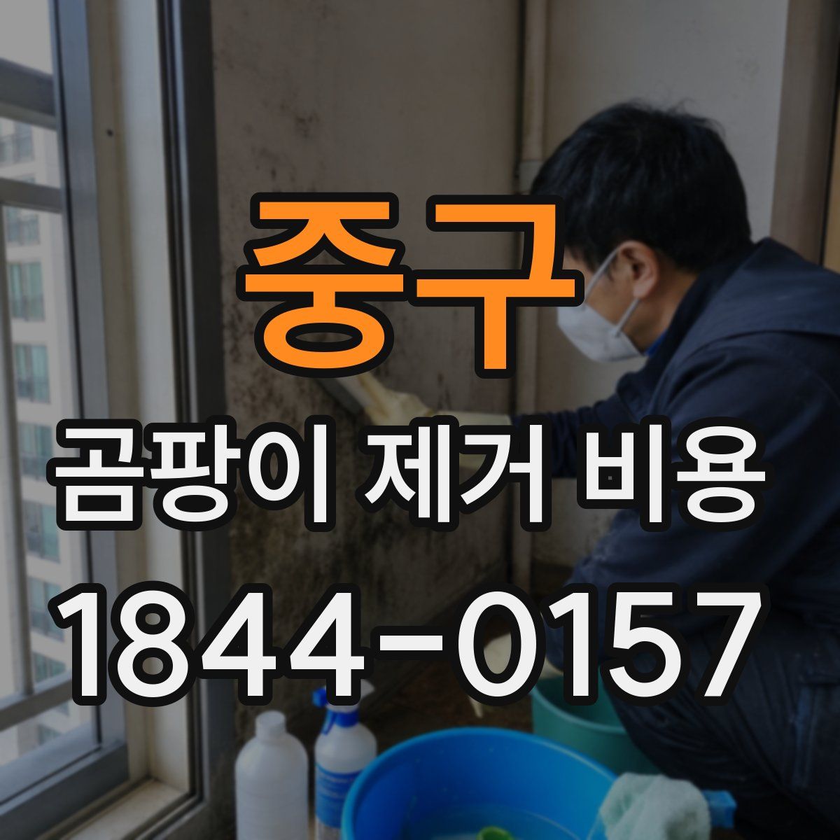 중구 곰팡이 제거 비용