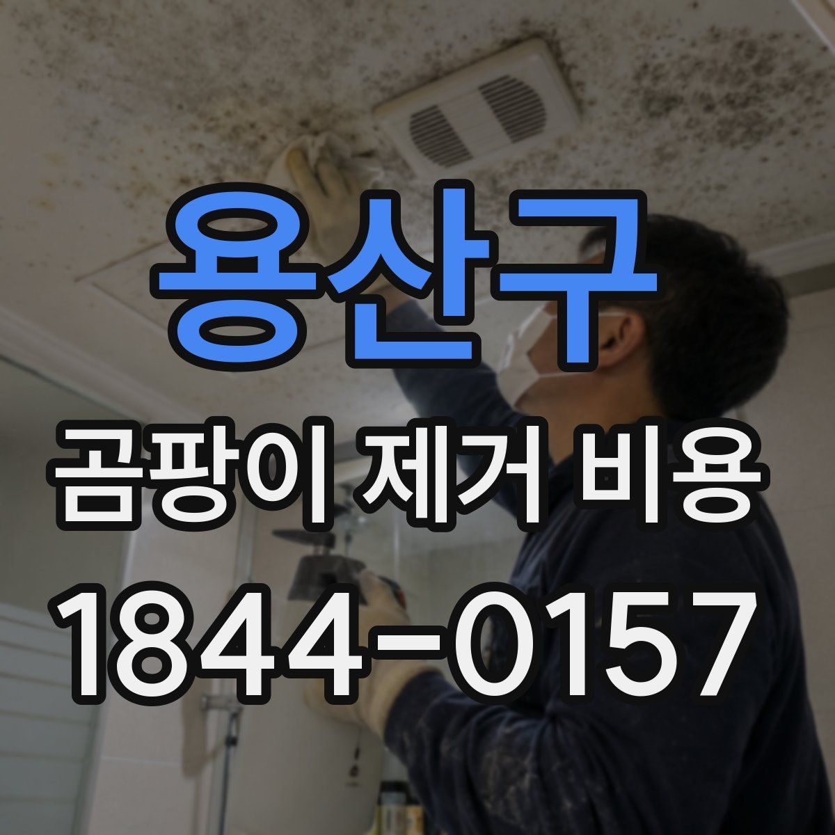 용산구 곰팡이 제거 비용