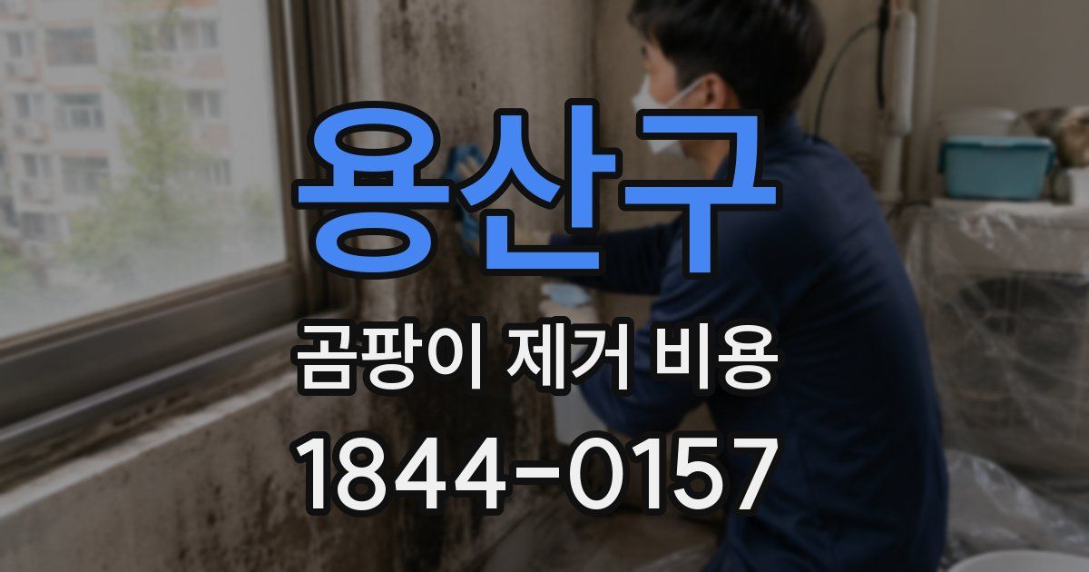 용산구 곰팡이 제거 비용