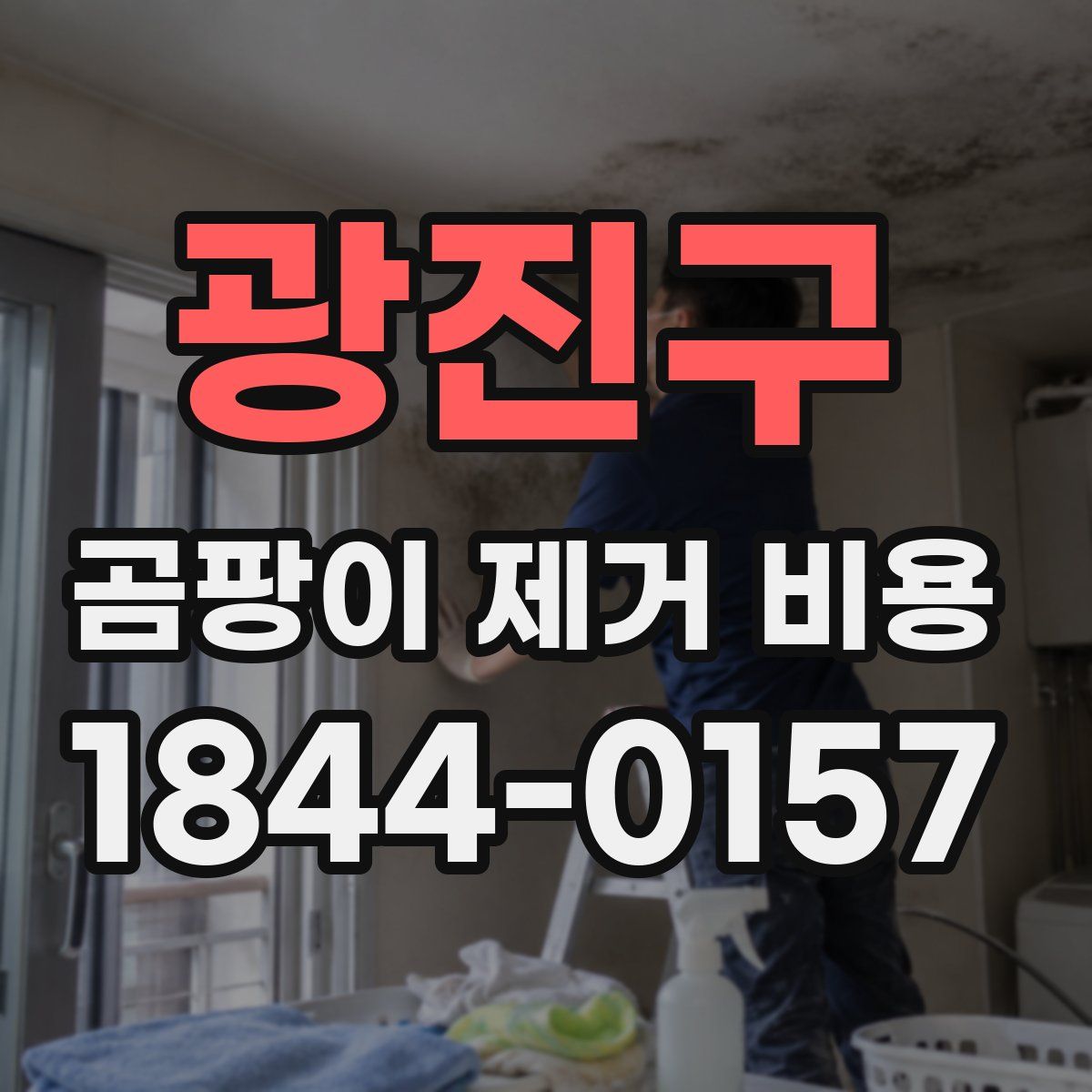 광진구 곰팡이 제거 비용